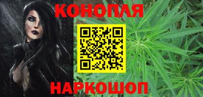 гидра Новокубанск