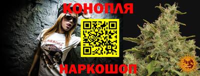 гидра Новокубанск
