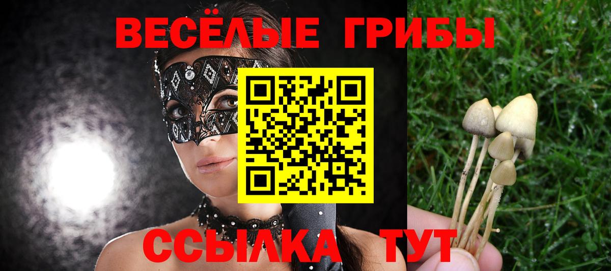 купить наркотики цена  Галлюциногенные грибы прущие грибы  Вход с VPN  Сызрань 